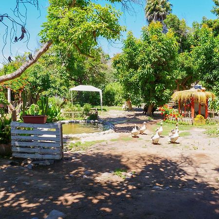 Alojamiento Rural Casa Quinta Peumayen Isla de Maipo Exterior photo